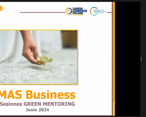 Imágen - Sesiones GREEN Mentoring 2024